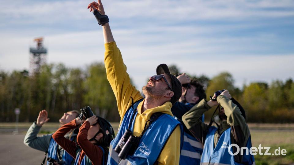 Ohne Fernglas geht beim Birden nichts. Bild: Fabian Sommer/dpa