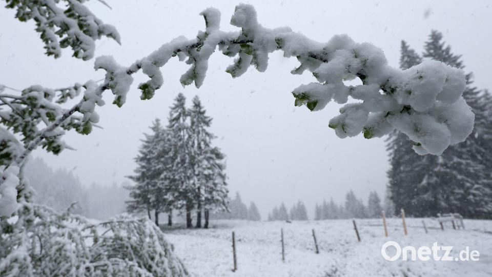 Riedbergpass: Schnee in Bayerns Höhenlagen – winterliche Szenerie auf etwa 1200 Metern Höhe Bild: Karl-Josef Hildenbrand/dpa