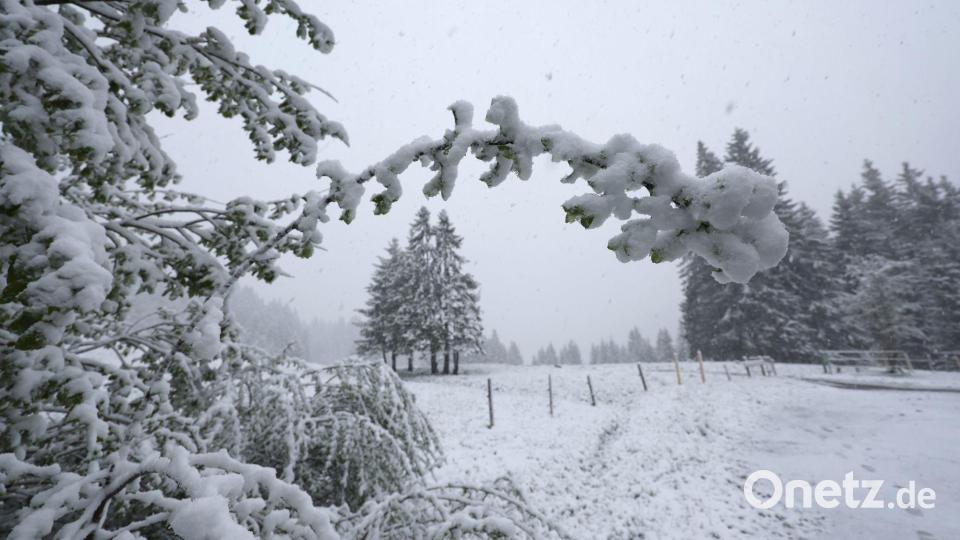 Rund um den Riedbergpass im Allgäu präsentierte sich die Landschaft winterlich weiß. Bild: Karl-Josef Hildenbrand/dpa