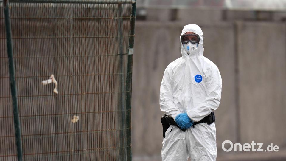 Beim Kontakt mit dem Hantavirus sollte ein Schutzanzug Pflicht sein. Bild: AP/dpa