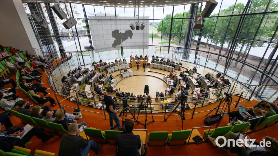 Der Grünen-Antrag zur Unterstützung kleiner Schlachtbetriebe bekam am Mittwochabend nur mit Hilfe von AfD und BSW eine Mehrheit. (Archivbild) Bild: Robert Michael/dpa