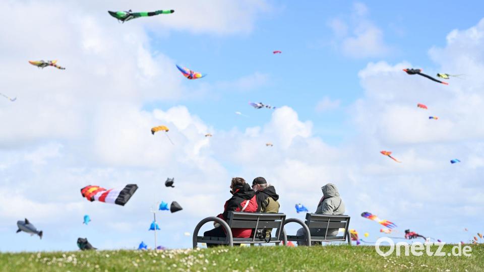 Drachenfest Norddeich: Großdrachen und Flugshows vor Nordsee-Kulisse Bild: Lars Penning/dpa