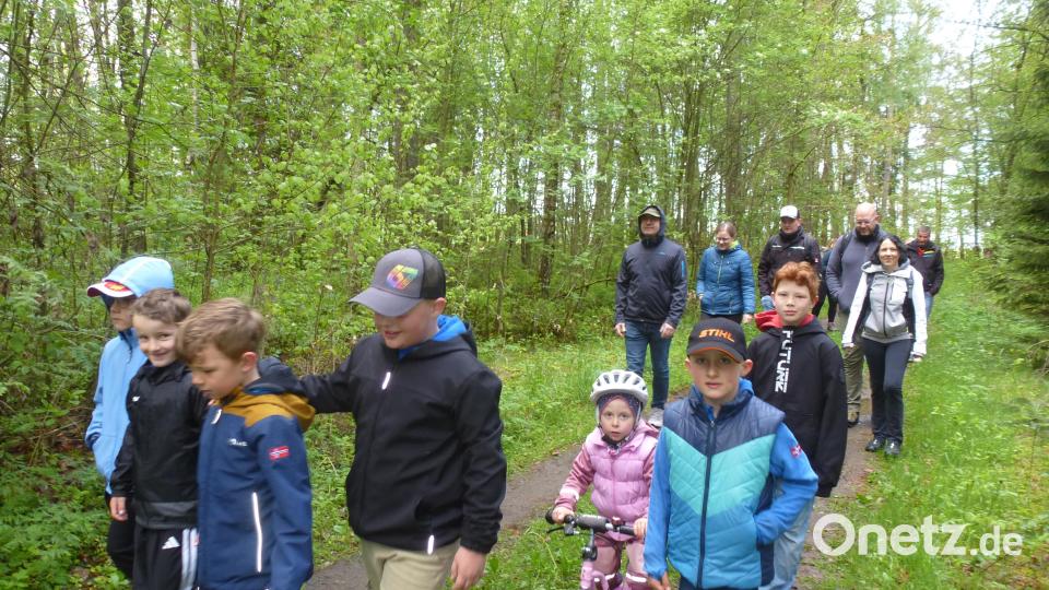 Die Wanderung durch den Wald genießen auch die Mitglieder der "Familienbande". Bild: Siegfried Bock