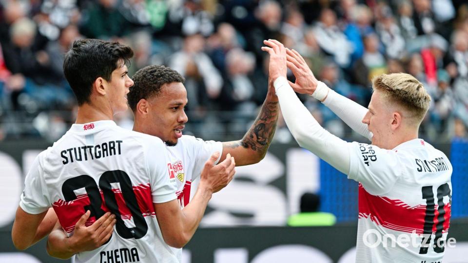 Der VfB Stuttgart bejubelt den Einzug in die Champions League. Bild: Uwe Anspach/dpa