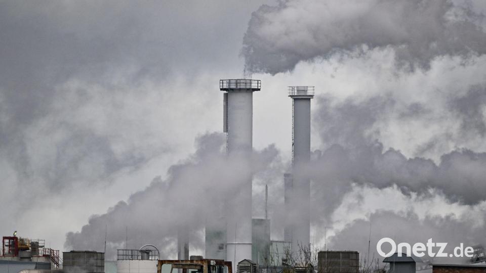 Beim Klimaschutz hat sich die Bundesregierung nicht genug vorgenommen, meinen wichtige Experten. (Archivbild) Bild: Patrick Pleul/dpa