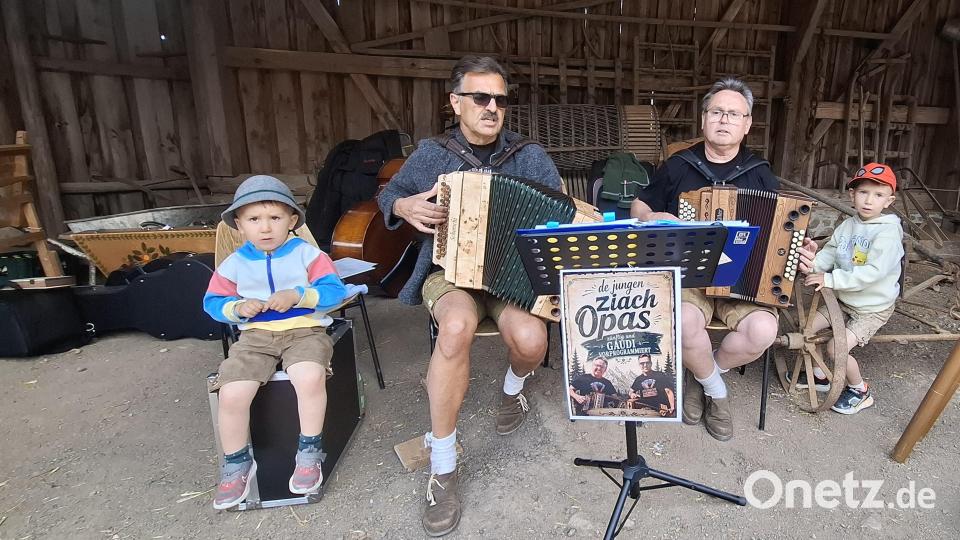 "De jungen Ziach Opas" musizierten beim Tag der Volksmusik im Freilandmuseum, und der Nachwuchs hörte gerne zu. Bild: jua
