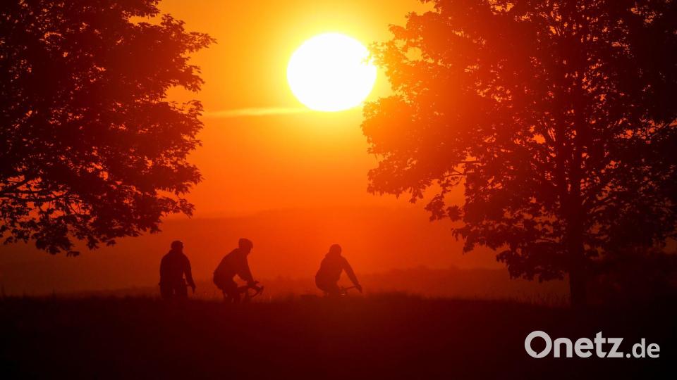 Bis zu 16 Sonnenstunden pro Tag sind am Wochenende möglich. (Archivbild) Bild: Thomas Warnack/dpa
