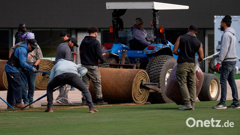 Im Finalstadion wurde Naturrasen verlegt. (Archivbild) Bild: Yuki Iwamura/AP/dpa