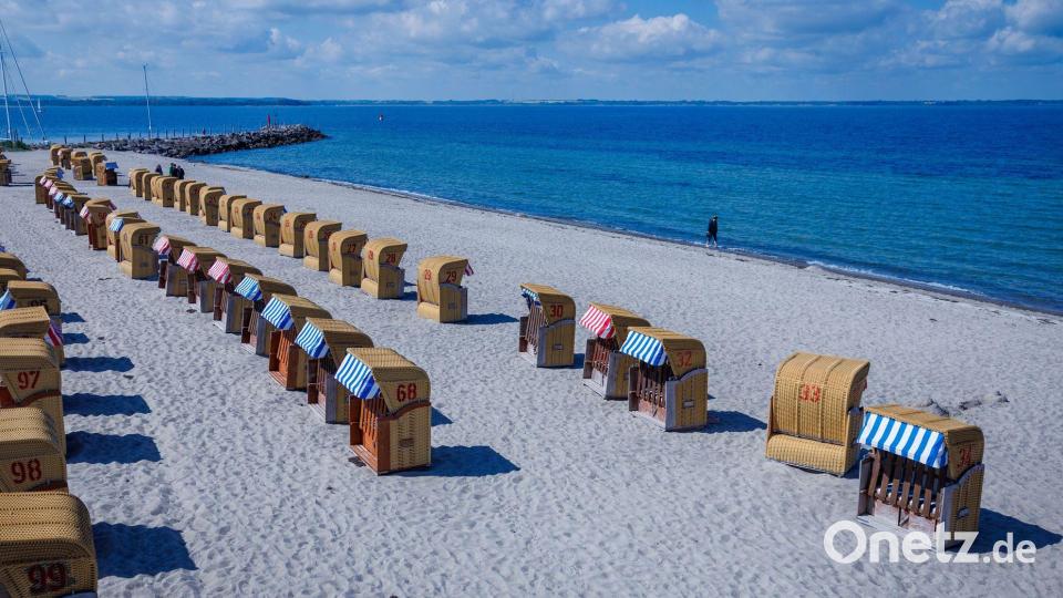 Sommerliche Prognosen für Pfingsten Bild: Jens Büttner/dpa