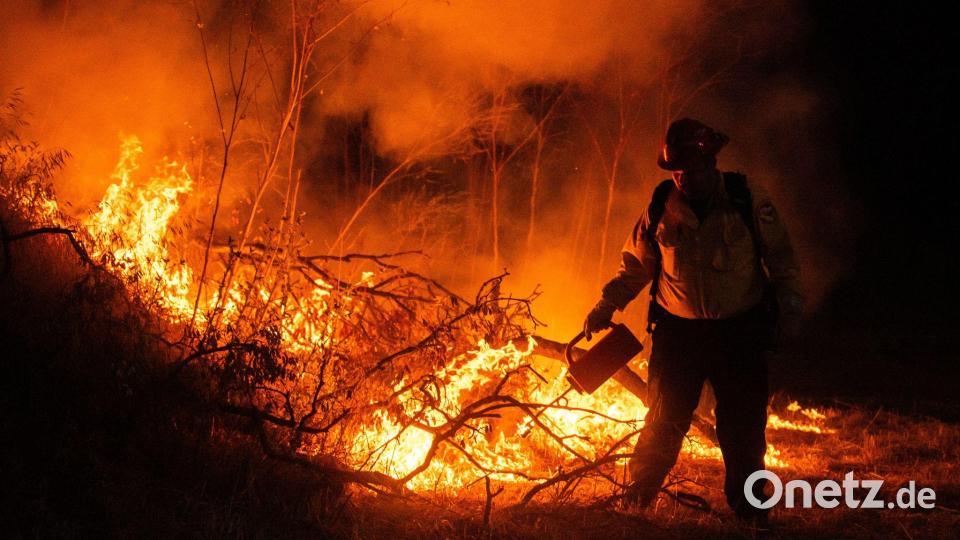 Ein Feuerwehrmann kämpft gegen die Flammen Bild: Ethan Swope/AP/dpa