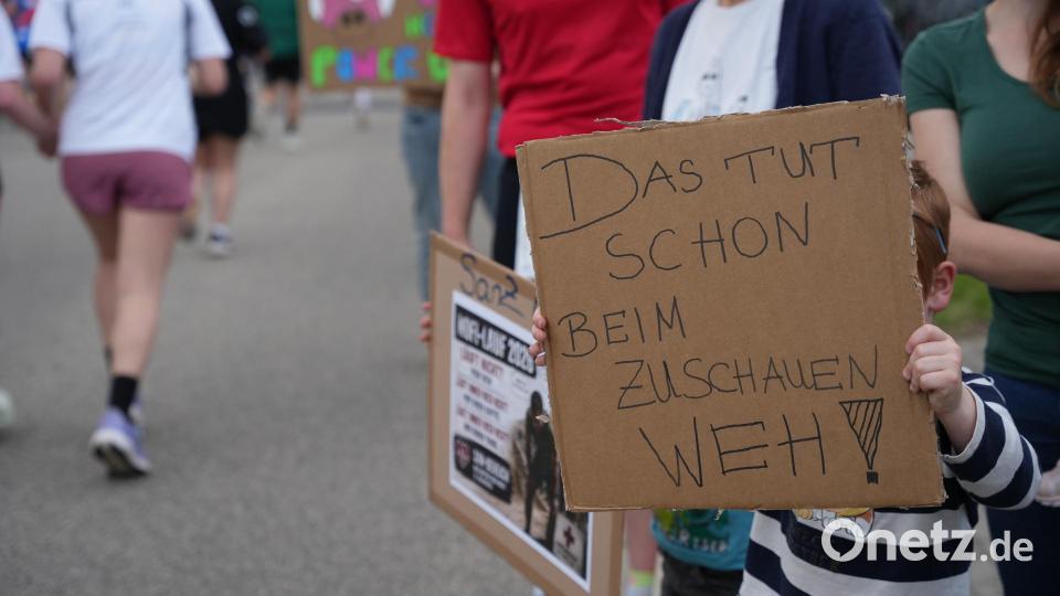 So schön war es beim Nofi-Lauf 2026 in Weiden Bild: Alexander Unger
