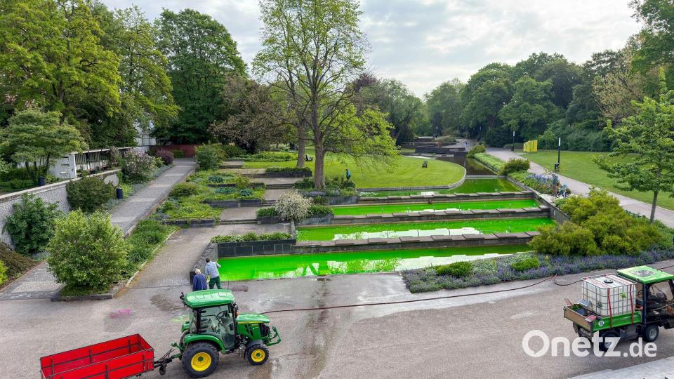 In Hamburg war unter anderem das Wasser von Springbrunnen des Parks Planten un Blomen mit grüner Farbe gefärbt. Bild: Bodo Marks/dpa