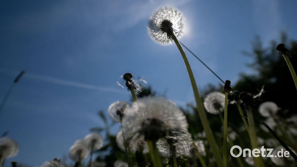 Bereits am Nachmittag kann man aber mancherorts schon die Sonne genießen. (Archivbild) Bild: Pia Bayer/dpa