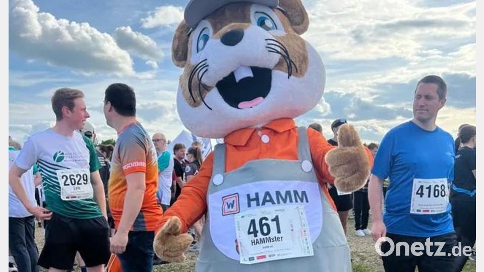 Auch pelzige Läufer sind am Start. Der HAMMster aus Tirschenreuth zum Beispiel. Bild: hop