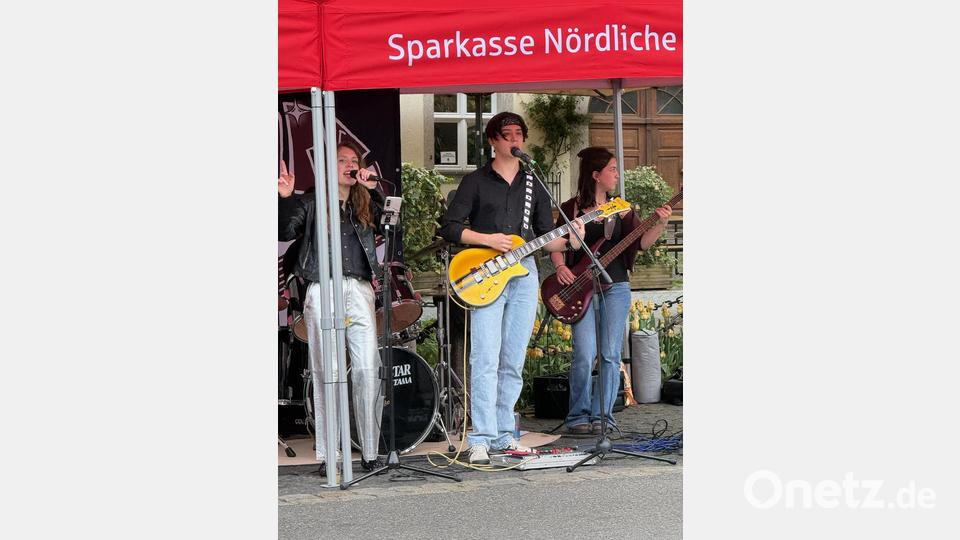 So schön war es beim Nofi-Lauf 2026. Bild: Leonie Pielenhofer