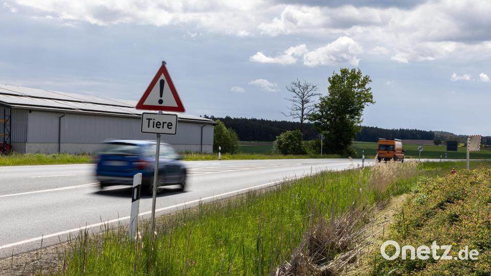 Am Ortsausgang von Kastl bei Kemnath macht dieses Warnschild "Tiere" die Verkehrsteilnehmer nach wie vor auf die ausgebüxten Rinder aufmerksam. Bild: Roland Wellenhöfer