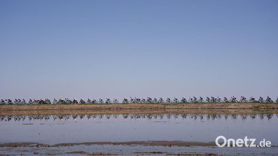 Das Feld der Fahrer durchquert Reisfelder beim Giro d’Italia auf der 13. Etappe. Bild: Marco Alpozzi/LaPresse/AP/dpa