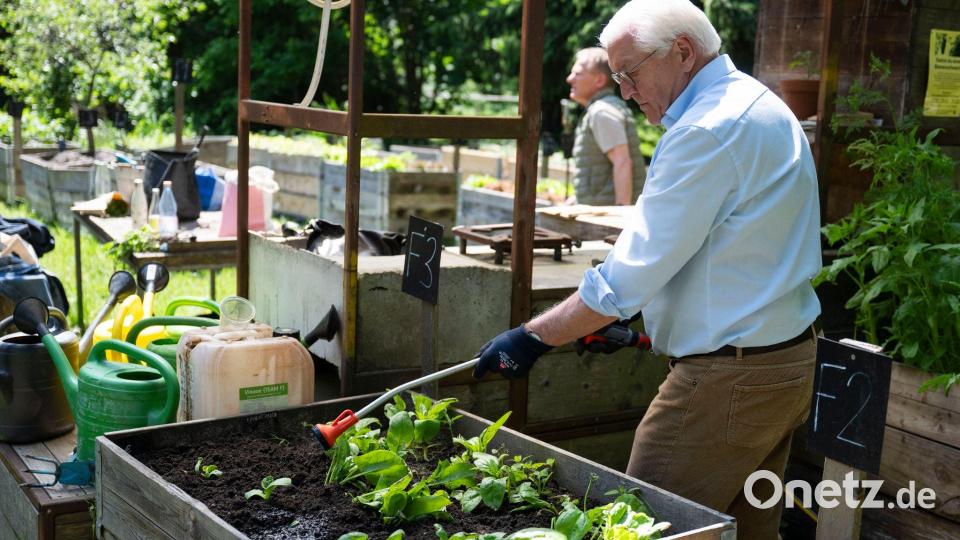 Steinmeier: „Die Demokratie braucht aktive Bürger. Sie braucht Tatkraft.“ Bild: Christophe Gateau/dpa