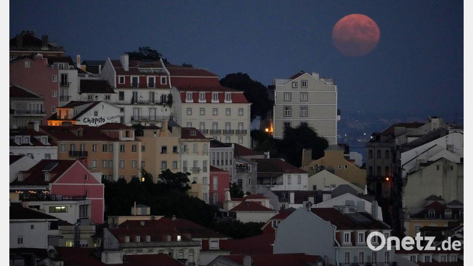 Nach der Mutter wurde nicht nur in Portugal fieberhaft gesucht. Nach der Festnahme wurden sie und der Stiefvater in Untersuchungshaft genommen. (Symbolbild) Bild: Armando Franca/AP/dpa