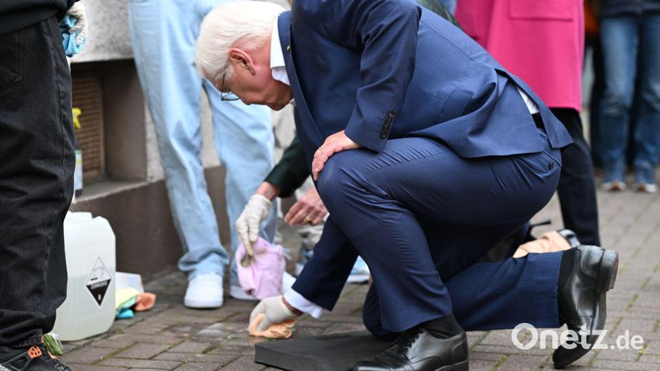 Rund um den Ehrentag hat sich auch Bundespräsident Steinmeier engagiert Bild: Federico Gambarini/dpa