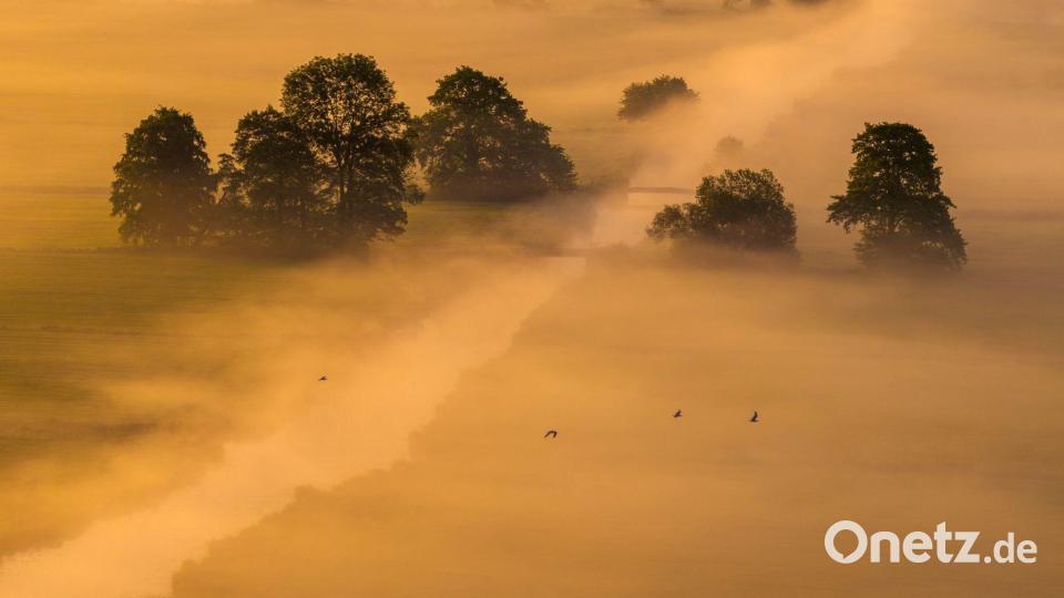 Morgennebel und Sonnenaufgang Bild: Sina Schuldt/dpa