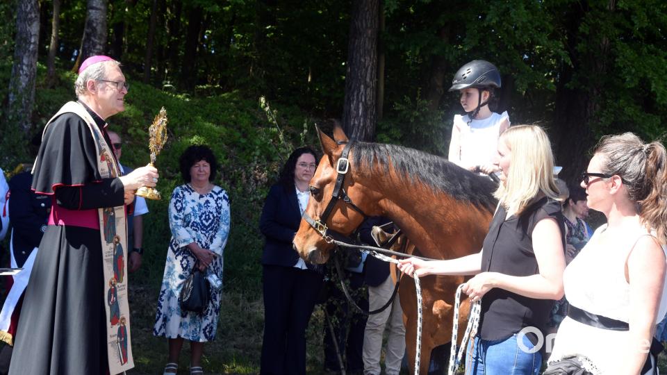 Weihbischof Josef Graf nahm die Pferdesegnung vor. Bild: Gebert