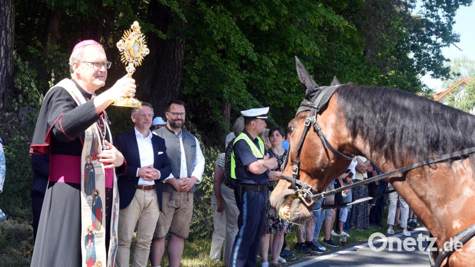 Weihbischof Josef Graf nahm die Pferdesegnung vor. Bild: Gebert