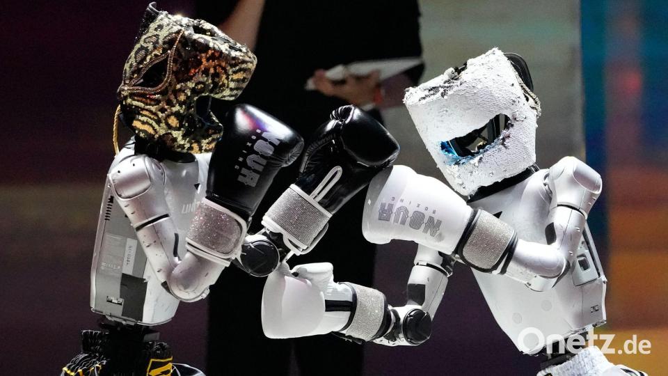 Humanoide Roboter boxen in Südkorea gegeneinander Bild: Ahn Young-joon/AP/dpa