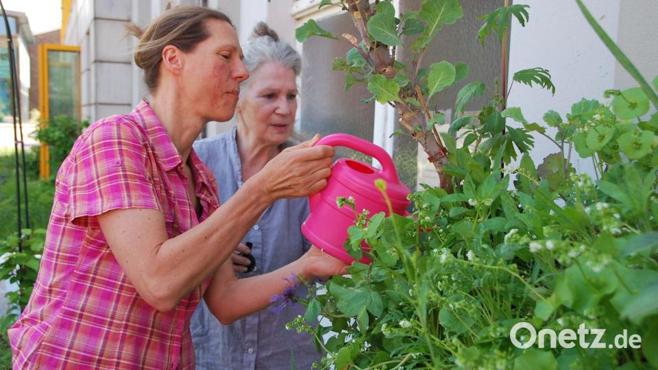 Die Teilnehmerinnen schätzen die praktische Arbeit in der Gemeinschaft. Bild: Anja Sokolow/dpa-Zentralbild/dpa