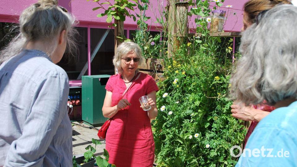 Besonders stolz ist Birgit Schattling auf die Klimaterrasse. Bild: Anja Sokolow/dpa /dpa