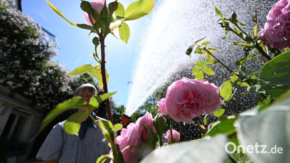 Der Frühling war deutlich trockener als im Schnitt. Bild: Bernd Weißbrod/dpa