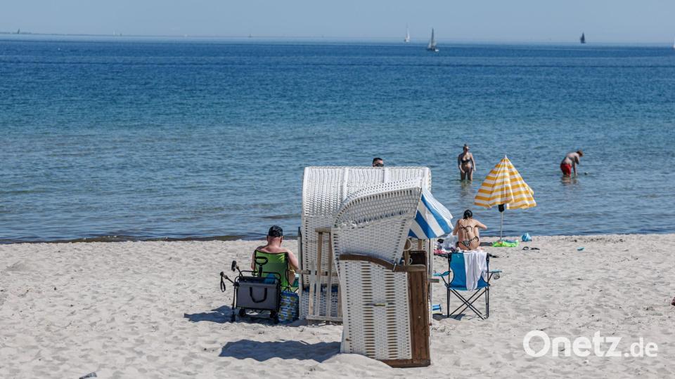 Vor allem im Norden war der Frühling sonnig. (Archivbild) Bild: Markus Scholz/dpa