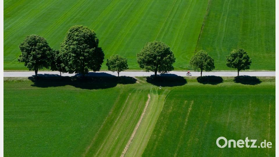 In Bayern war es vor allem sehr trocken. Bild: Sven Hoppe/dpa