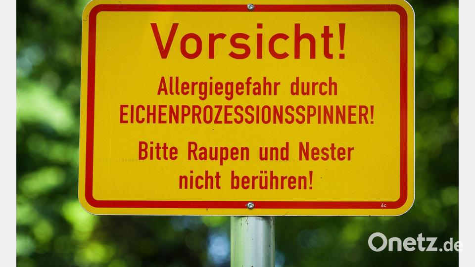In der Berliner Hasenheide wird vor dem Eichenprozessionsspinner gewarnt. Bild: Soeren Stache/dpa