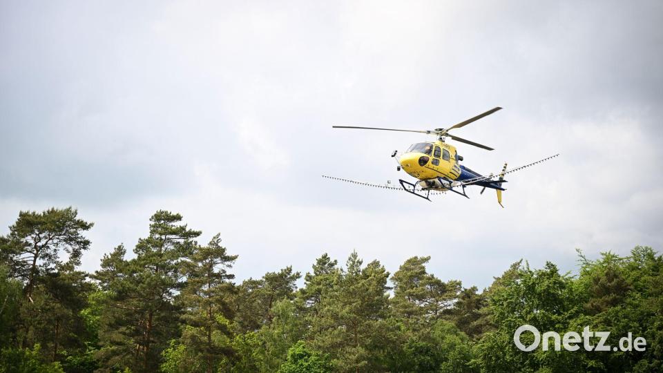 In Mecklenburg-Vorpommern, Sachsen-Anhalt und Brandenburg wurde vom Hubschrauber aus bakterienbasiertes Insektizid versprüht. Bild: Philip Dulian/dpa