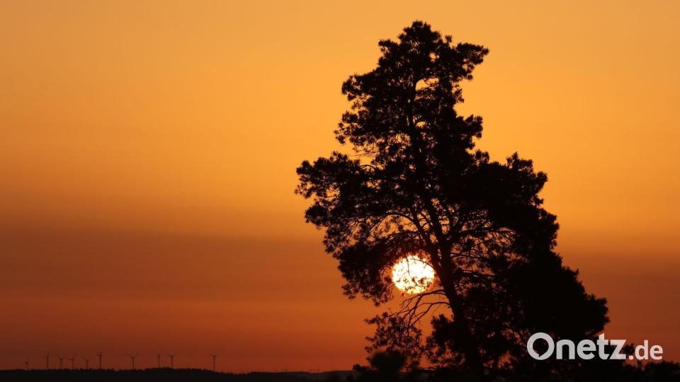 Sonne satt statt Regen: Das gab es vielerorts. Bild: Matthias Bein/dpa