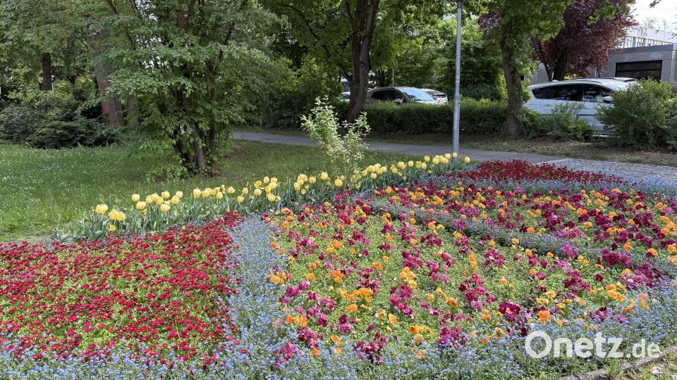 Leserbild: Max Reger Park Bild: Astrid Wieland