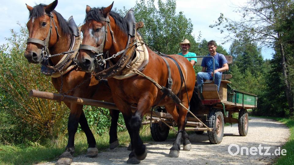 Landwirtschaft früher. Aufgenommen im Freilandmuseum Neusath-Perschen. Bild: hcz