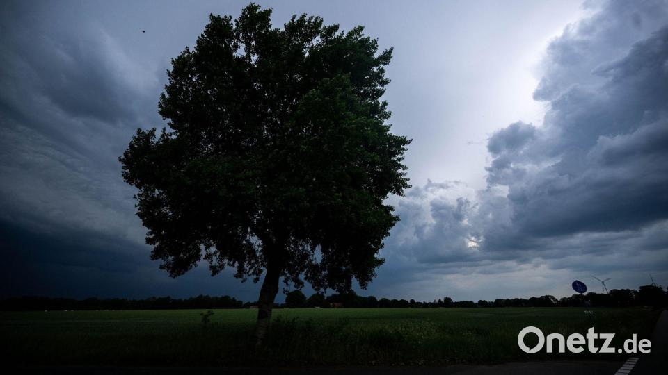 Dunkle Wolken hängen über den Feldern in Bremen. Bild: Sina Schuldt/dpa
