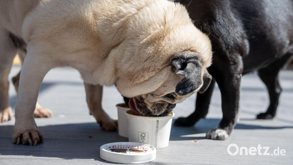 Das Eis wird ohne Zucker und ohne Laktose hergestellt. Bild: Harald Tittel/dpa