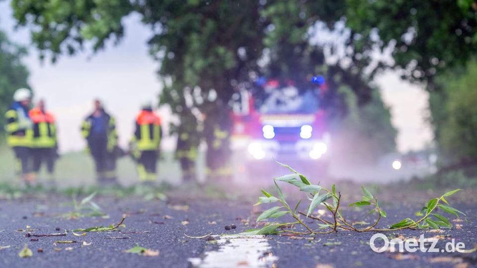 Zweige und Äste fielen auf Straßen. Bild: Pia Bayer/dpa