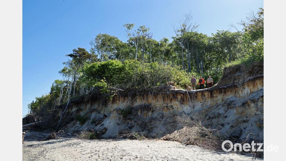 „Wald – Wasser – Küste: Tradition bewahren, Zukunft gestalten“ lautet das Motto der 72. Tagung des Deutschen Forstvereins in Rostock. Bild: Bernd Wüstneck/dpa