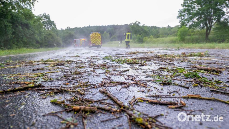 Auf manchen Straßen ist wegen Nässe und abgestürzten Geästs Vorsicht geboten. Bild: Pia Bayer/dpa