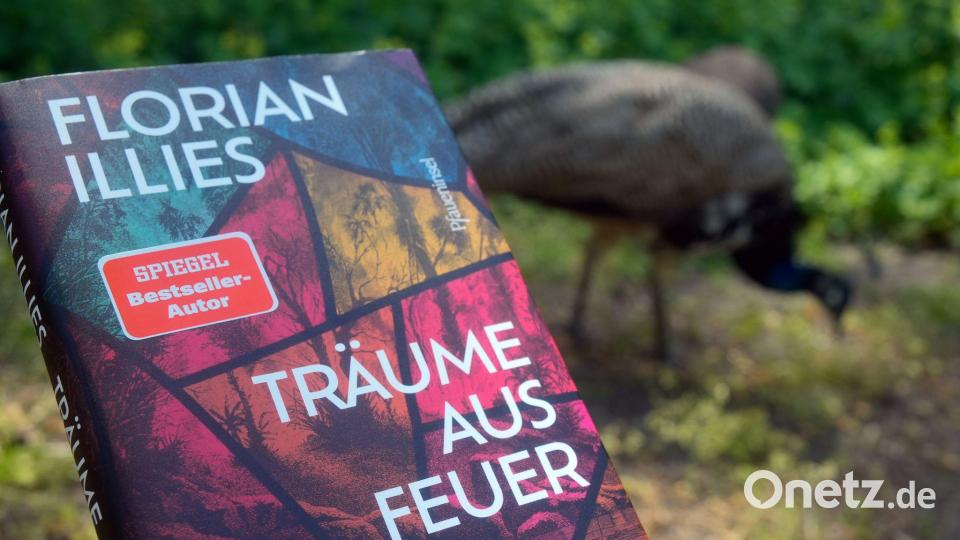 Florian Illies’ „Träume aus Feuer“ ist eine Parabel darüber, wie aus einem gescheiterten Traum etwas Wertvolleres entstehen kann. Bild: Maximilian Specht/dpa
