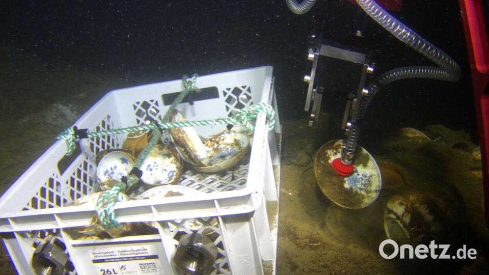 Das Porzellan wird aus 600 Metern Tiefe geborgen. (Handout) Bild: Espen Saastad/Norsk Maritimt Museum/dpa