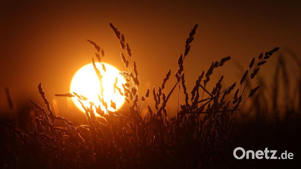 Viel Sonne, historisch wenig Regen: Das Wetter im Frühjahr bereitet an einigen Stellen Probleme. (Symbolbild) Bild: Karl-Josef Hildenbrand/dpa