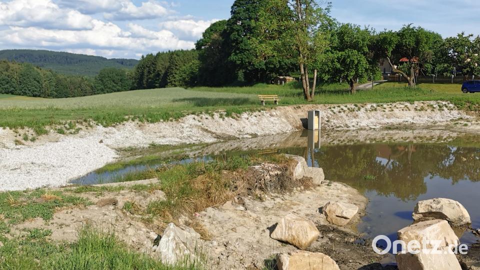 Sitzbank, Uferbepflanzung und große Steine werten das Areal am Dorfweiher Pirk auf. Bild: Portner