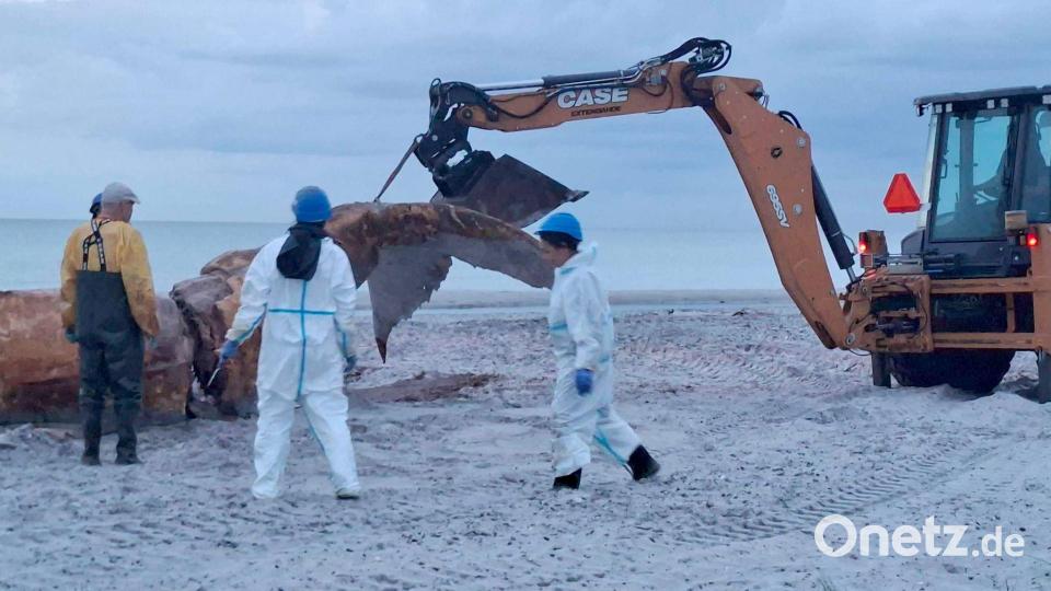 Ein Bagger hievte immer wieder Teile des Wals in Richtung der Container. Bild: Kai Moorschlatt/dpa