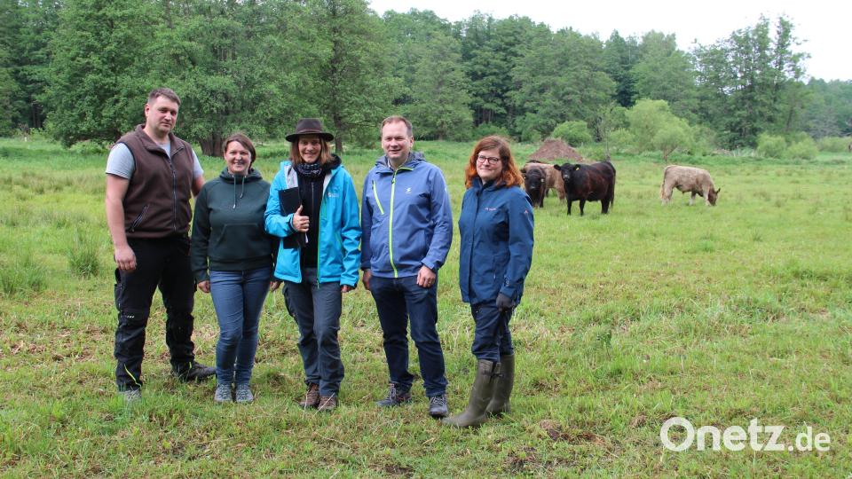Die Landwirte Wolfgang und Barbara Müller, die Biodiversitätsberaterin Birgit Elitzer-Böhner von der Unteren Naturschutzbehörde am Landratsamt Bayreuth, der Speichersdorfer Bürgermeister Christian Porsch und Stefanie Jessolat vom Landschaftspflegeverband Weidenberg und Umgebung (von links) versprechen sich mehr Biodiversität durch die Beweidung. Bild: Arnold Koch