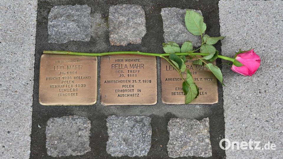 Stolpersteine erinnern in vielen deutschen Städten an individuelle Opfer des Nationalsozialismus. (Archivbild) Bild: Swen Pförtner/dpa
